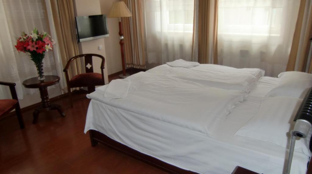 Hotel Hotel Penzion Praga Praha